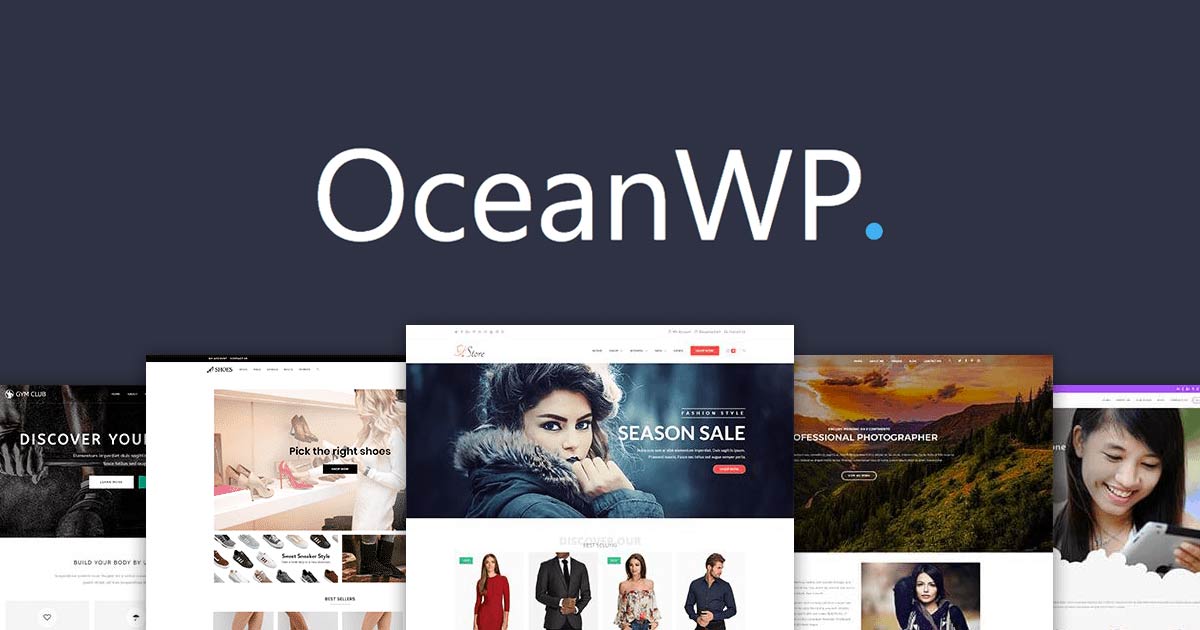 Ocean WP is a good cheap website builder that is highly intuitive